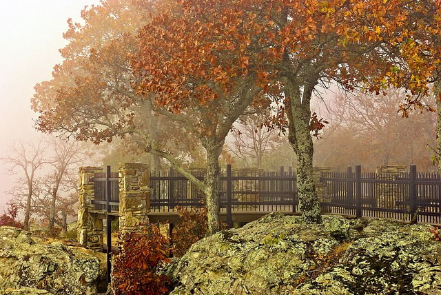 best state parks in Arkansas for camping - Petit Jean State Park