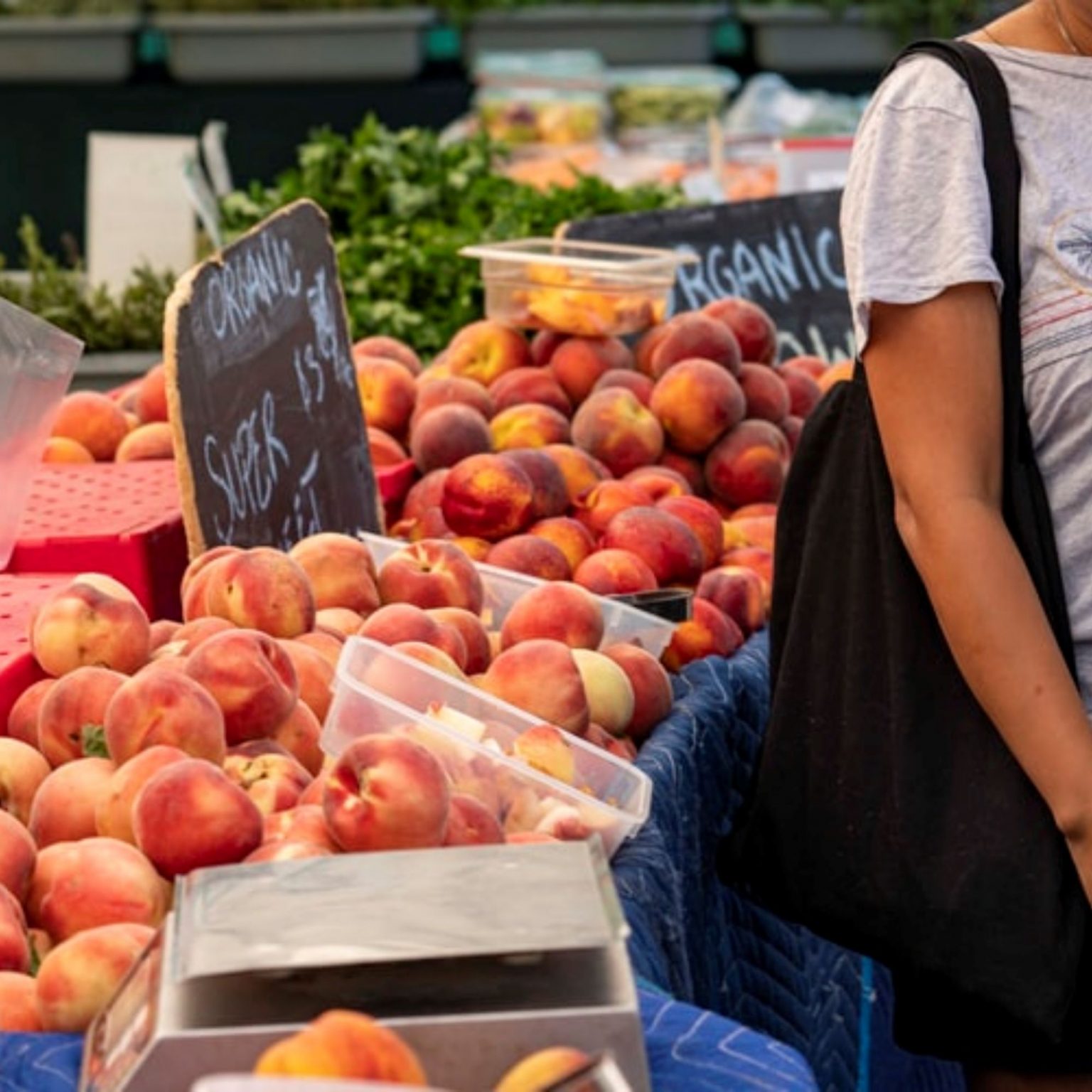 19 [FUN] Things to do in Cabot, Arkansas All About Arkansas