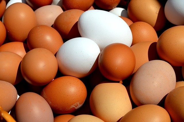fun things to do in fort smith Arkansas - fort smith farmer's market - photo of fresh eggs