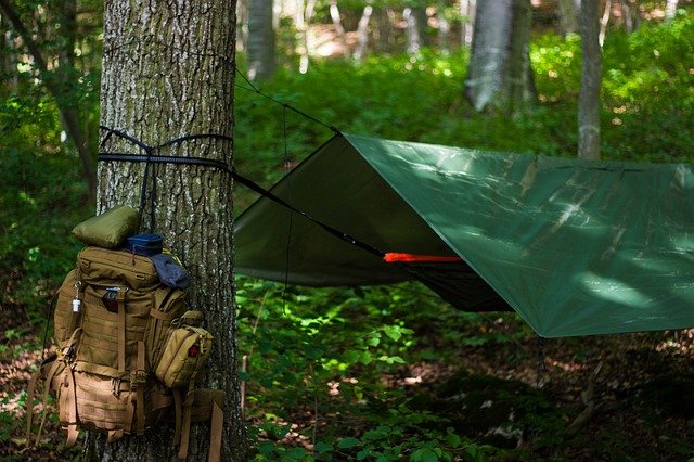 dispersed camping in northwest arkansas