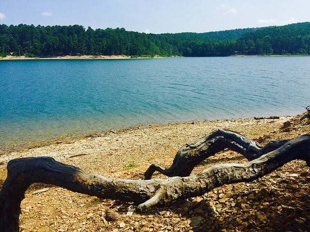 free camping on Lake Ouachita