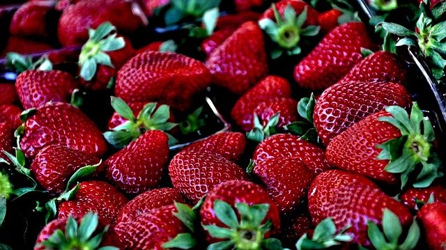holland bottom strawberry farm in arkansas