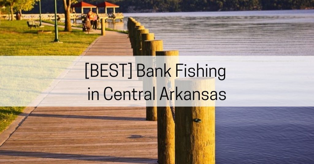 bank fishing in central arkansas