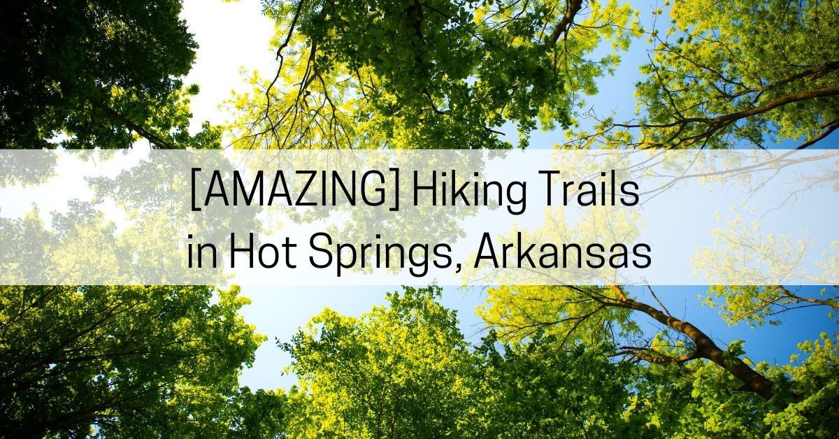 5 Beautiful Hiking Trails in Hot Springs Arkansas All About Arkansas