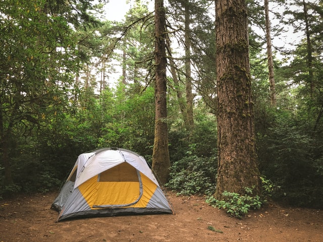 camping in cass arkansas