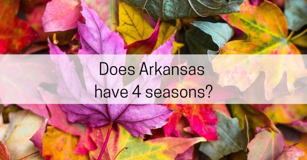 does arkansas have four seasons