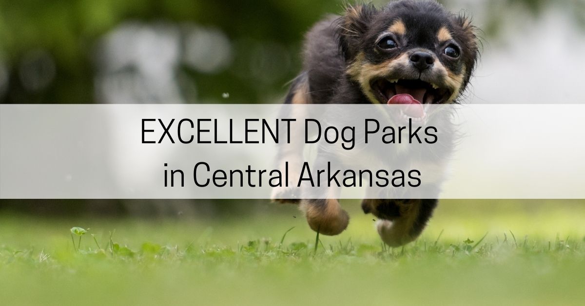 central AR dog parks