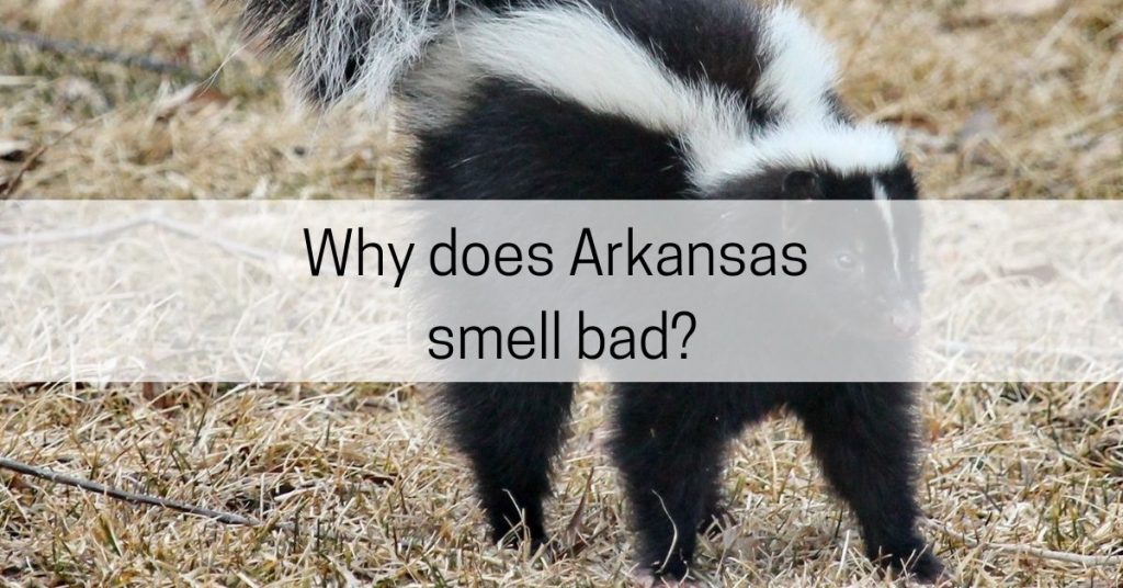 why does arkansas smell bad
