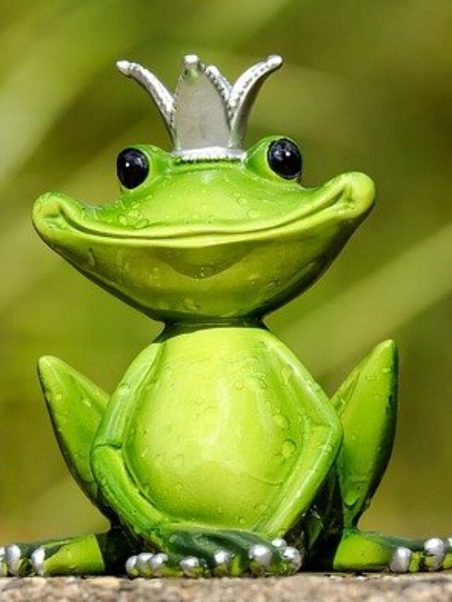 The Truth About Frog Balls Arkansas Story