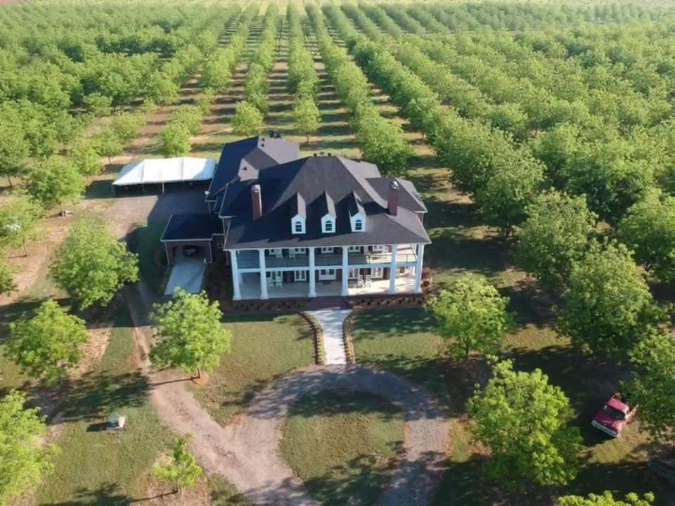 The plantation home nestled in the pecan groves.