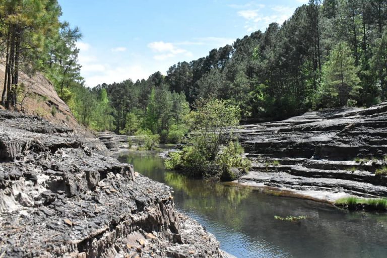 The Little Grand Canyon in Arkansas is a hidden gem All About Arkansas