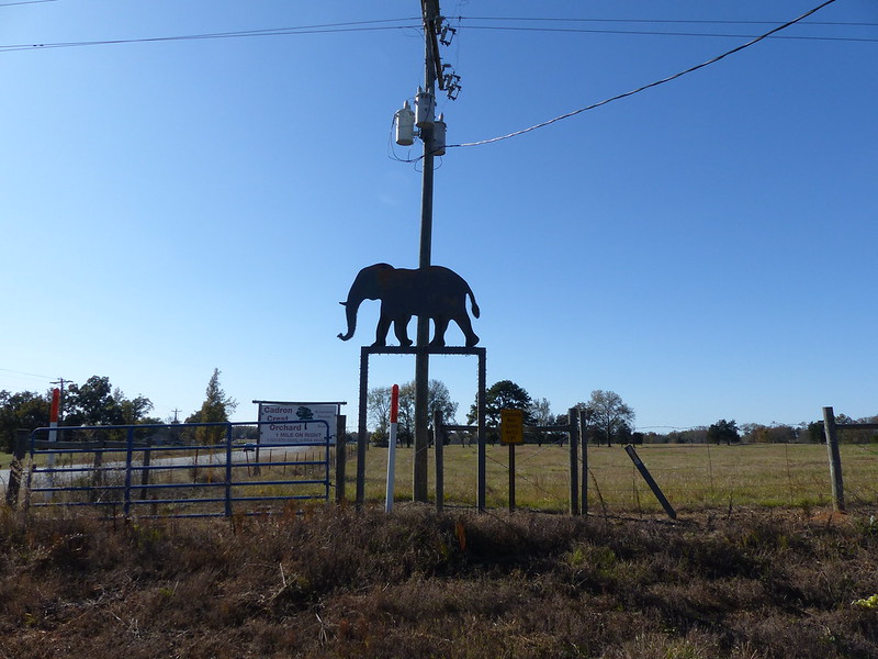  Riddle's Elephant and Wildlife Sanctuary Arkansas sign