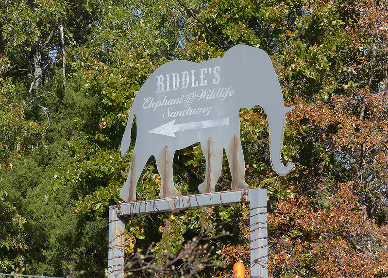 Riddle's Elephant and Wildlife Sanctuary Arkansas sign