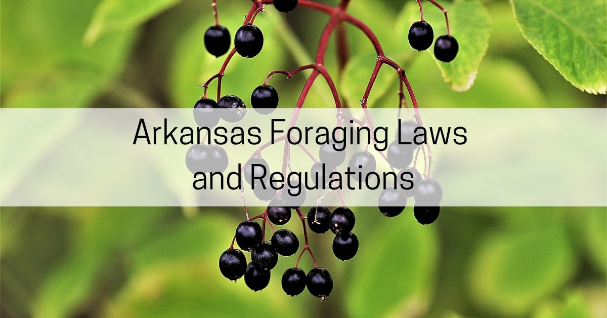 arkansas foraging laws and regulations