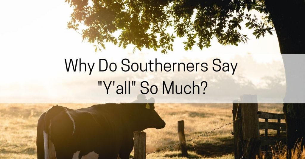 Why Do Southerners Say Y'all So Much?