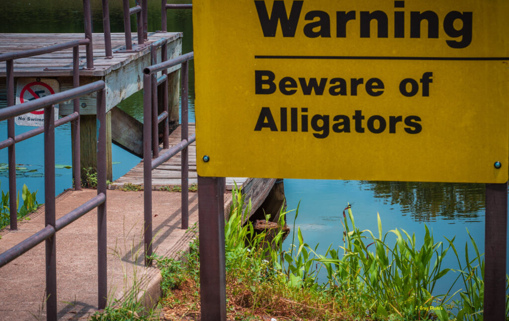 Beware of Alligators sign
