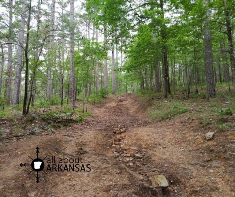 Dig For Quartz Crystal for FREE at Crystal Vista in Mt Ida, Arkansas