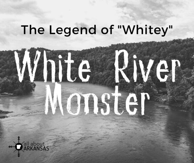 The Legend of Whitey The White River Monster All About Arkansas