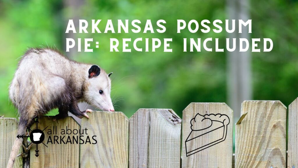 Arkansas Possum Pie